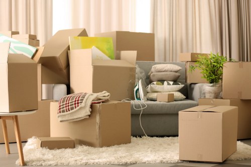 Safe loading and secure handling of items during a removal process